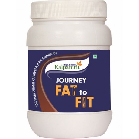 Journey Fat to Fit